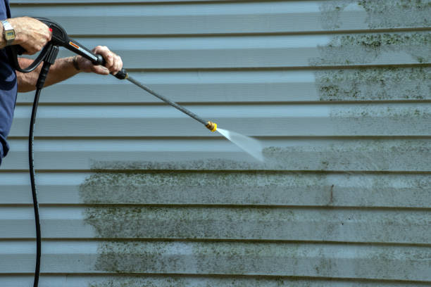 Best Roof Cleaning and Mildew Removal in Glencoe, MN